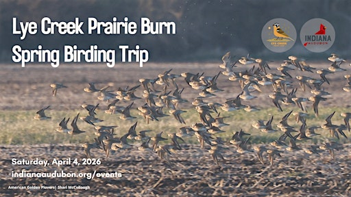 Lye Creek Prairie Burn Spring Birding Trip | 2242 E 650 N