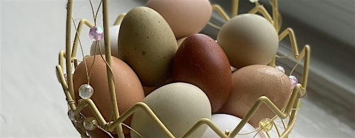 On Farm Easter Egg Dying Workshop | Crieff Hills Retreat Centre