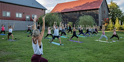 Vino & Vinyasa with Lindsay Cook at Great Frogs Winery | Great Frogs Winery