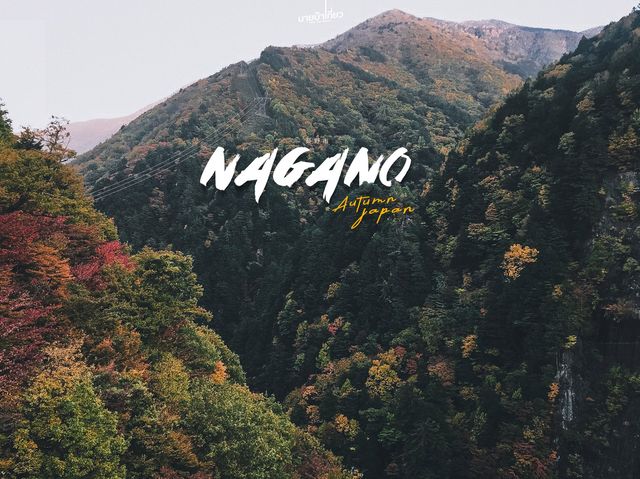 นากาโน (Nagano) เที่ยวญี่ปุ่น 🇯🇵