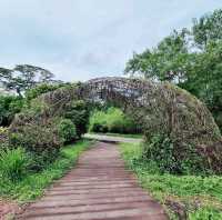 Kranji Marshes exploration