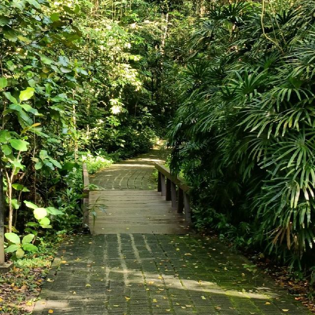 Family Friendly Nature Park at Bukit Batok