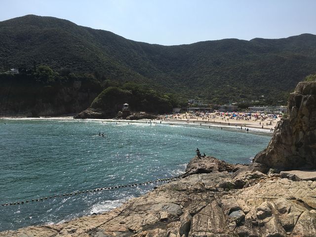 港島劏青蛙