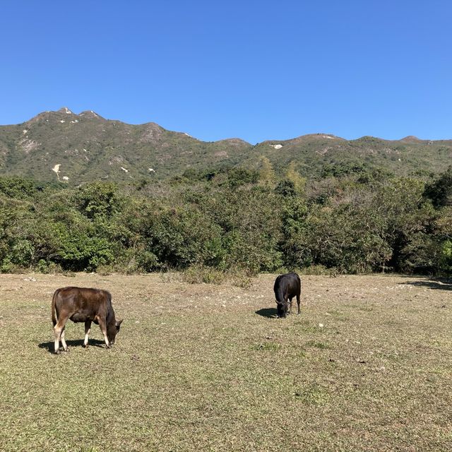 大浪西灣