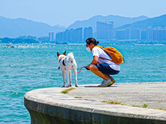 神秘圓圈