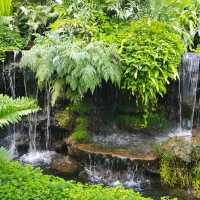 TIMBER TALES CAFE AND BISTRO KHAOYAI