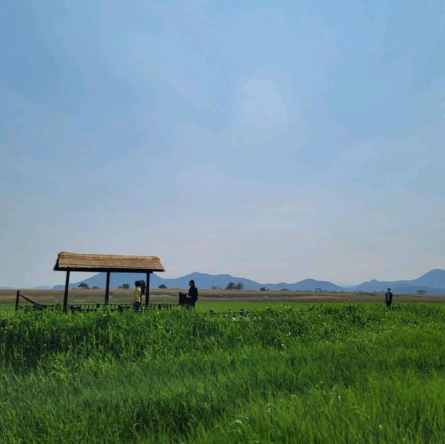 순천여행 순천만자연생태공원 