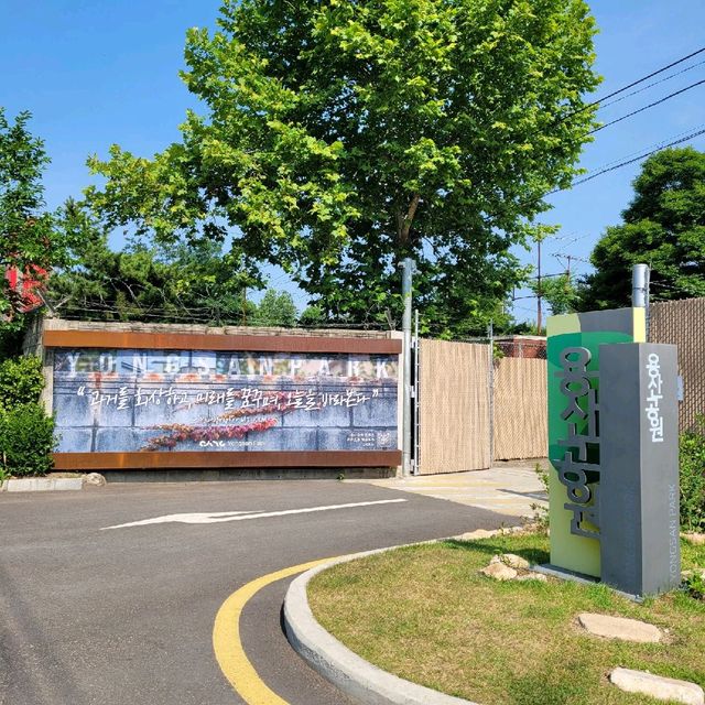 인생샷 찍기 좋은 "용산공원부분개방부지"
