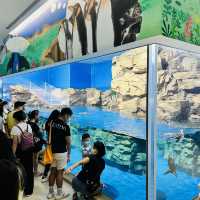 X Park 水族管 