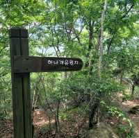 인천 무의도 호룡곡산 등산