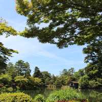 【金沢】圧倒的な日本庭園兼六園！