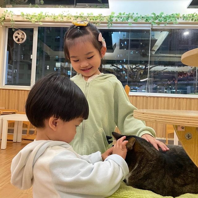 貓之茶房