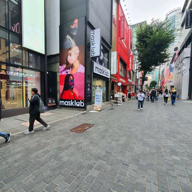 서울사람도 즐길 수 있는 서울시티투어