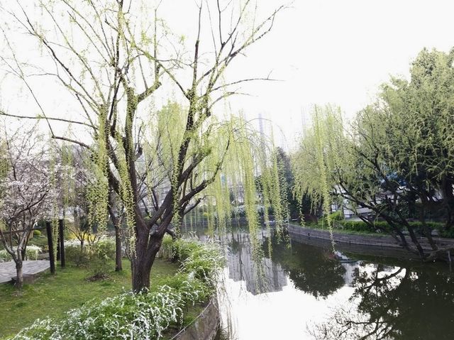 HePing Park