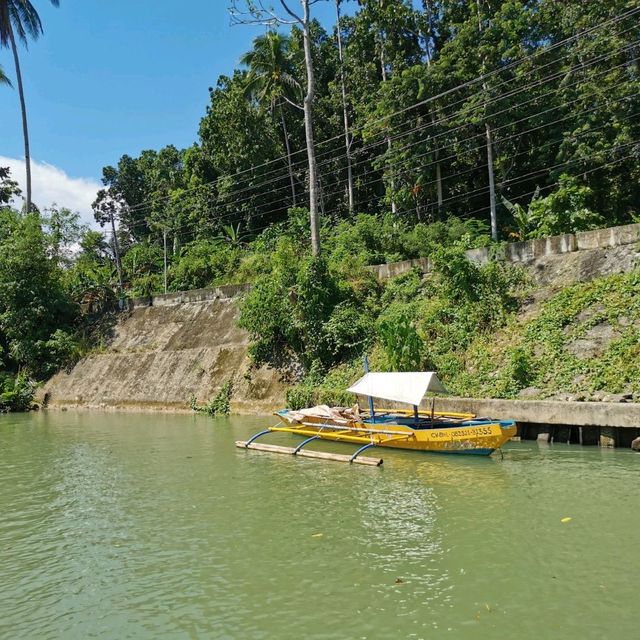 Loboc River Cruise