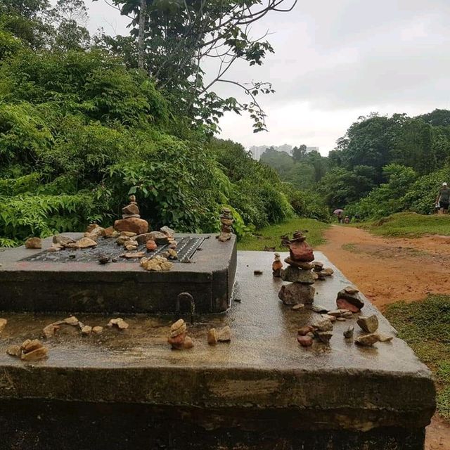 Bukit Timah Nature Trial