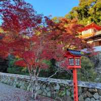 日本最古的修行地之一｜瀧安寺