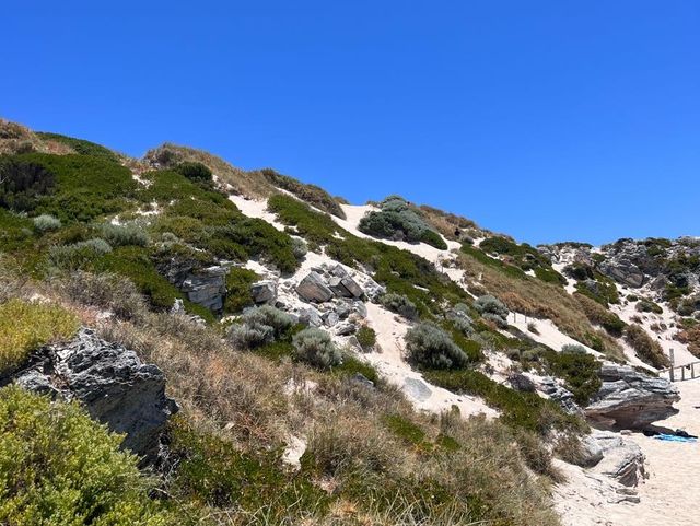 Rottnest Island! Parakeet Bay! 📸😎