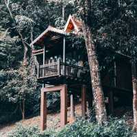 Nature around and good vibes ! 