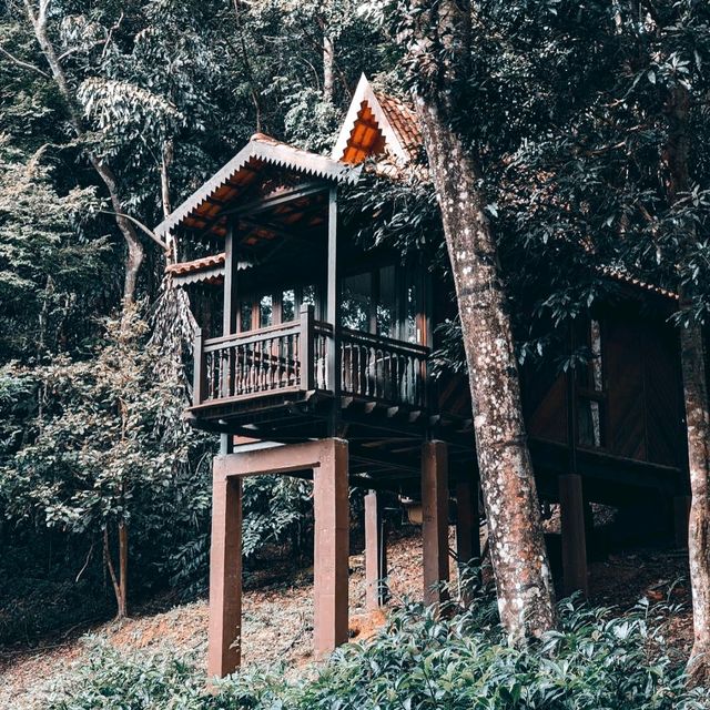Nature around and good vibes ! 