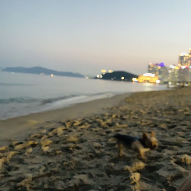 부산 광안리 야경 명소 💙