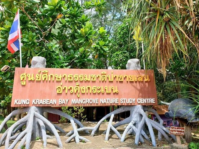 อ่าวคุ้งกระเบน​ ป่าชายเลนที่อุดมสมบูรณ์