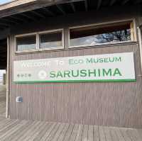 【神奈川】横須賀の無人島「猿島」探検🔦