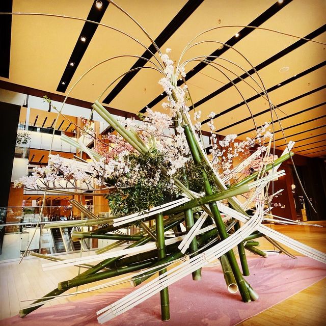 お花見シーズン〜東京ミッドタウン