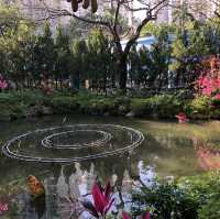 🌲荃灣後花園🌹尋找復活兔🐰