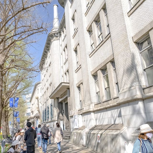 春の日本大通り