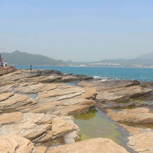 東平洲觀石一日遊