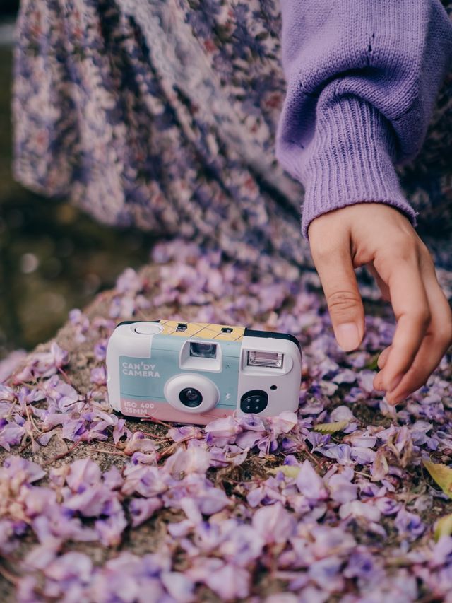 공주 등나무 맛집으로 유명한 동학사💜