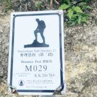 西灣山行山路線~