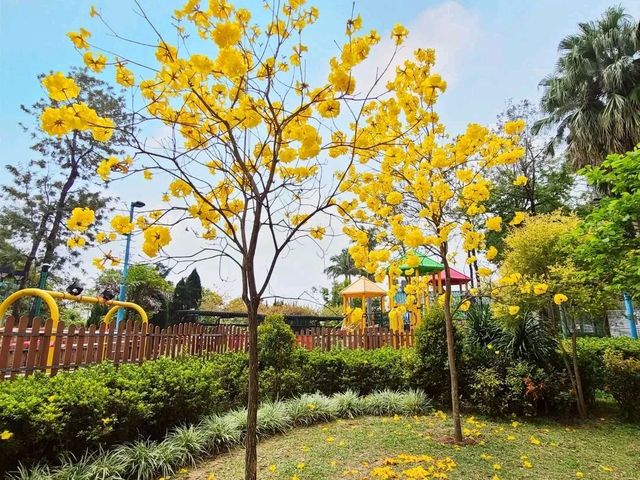 輕鬆遊水塘系列~香港仔水塘🏞️