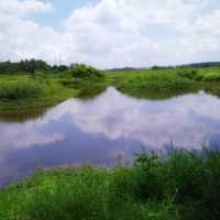 Serene Kranji Marshes