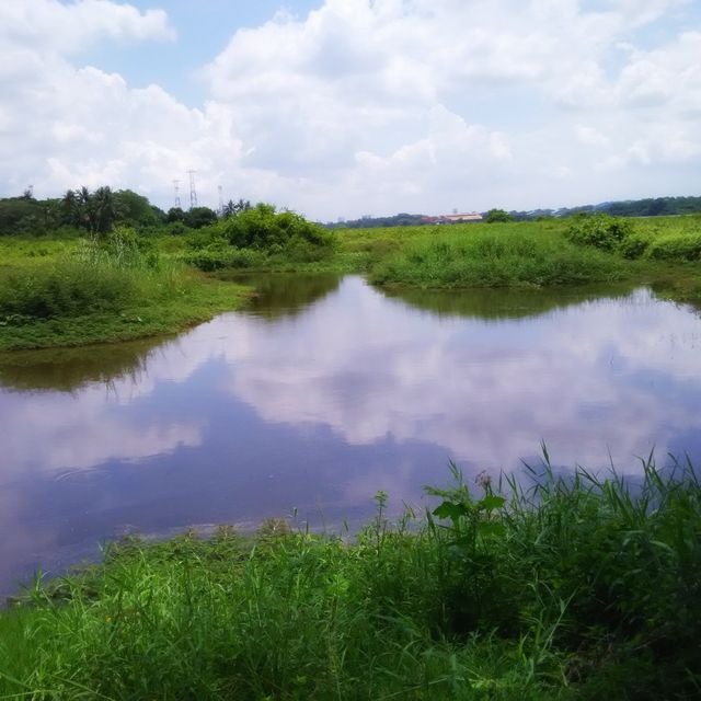 Serene Kranji Marshes