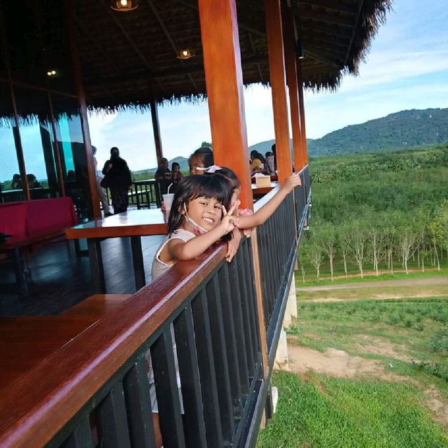 ไร่ชา1000 ไมลฺ์ ที่ใครๆต้องไม่พลาด