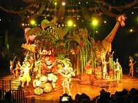 Musical live performances