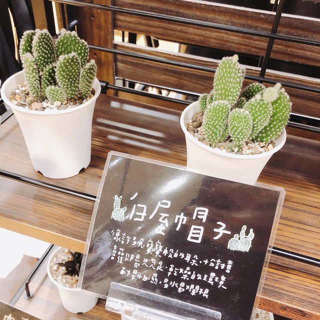 💐🪴發現美好UNIQLO Miramar Store UNIQLO 美麗華店🍀🌵