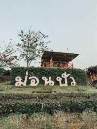 ที่พักหลักร้อย วิวหลักล้าน 🏔️