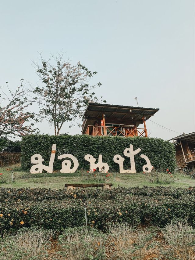 ที่พักหลักร้อย วิวหลักล้าน 🏔️