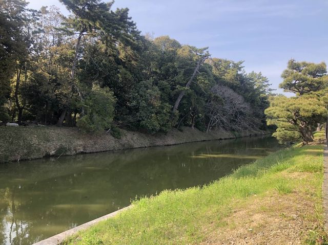 🪦日本最大の古墳！大山古墳をご紹介