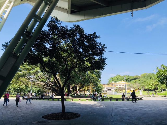 天氣晴☀️Yuanshan Park 花博公園圓山園區🐻