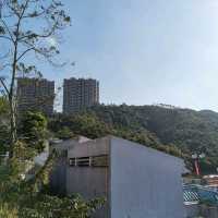 水塘扒船仔