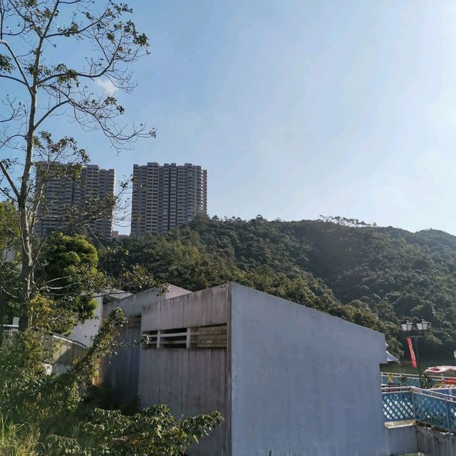 水塘扒船仔