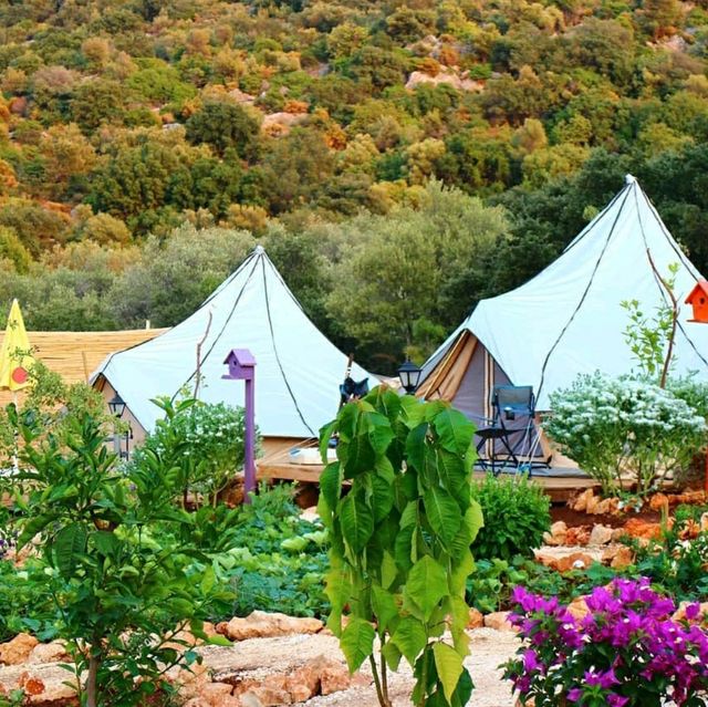Camping with family 💓
