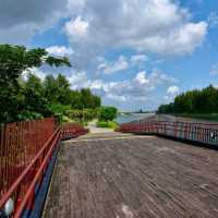 Coney Island Park Connector