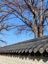 옛 정취를 느낄 수 있는 전주한옥마을🏡