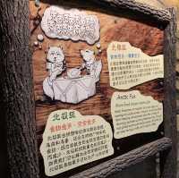 好奇北極狐習性和外貌