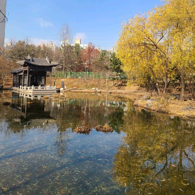 반영사진찍기 좋은 월화원 📸 